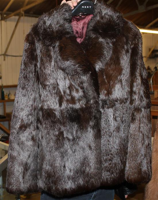 Dark brown coney fur jacket